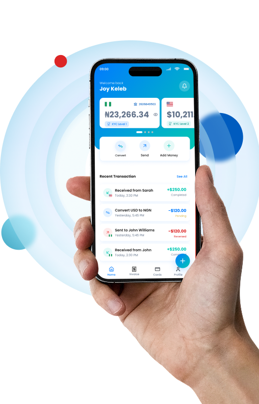 AlecerPay App